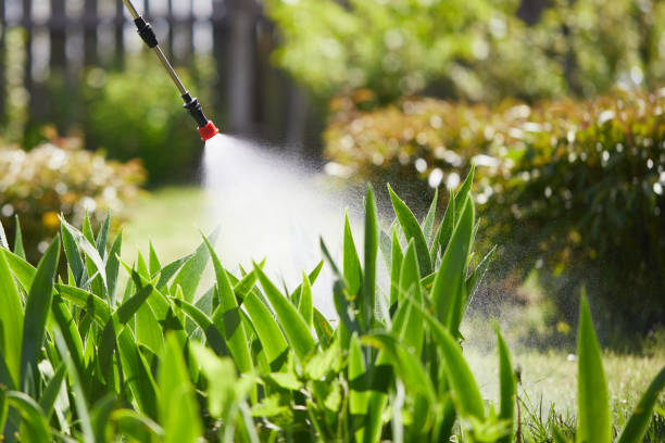 Tamper-Resistant Bait Stations for Rodents in Nicholson